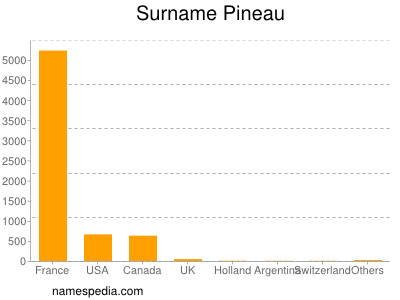 Surname Pineau