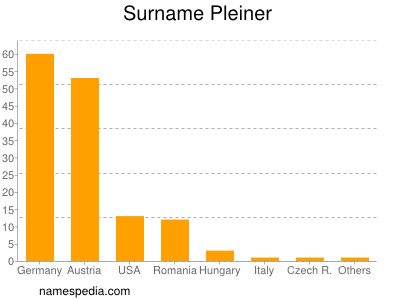 Surname Pleiner