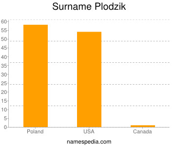 Surname Plodzik