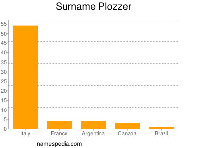 Surname Plozzer