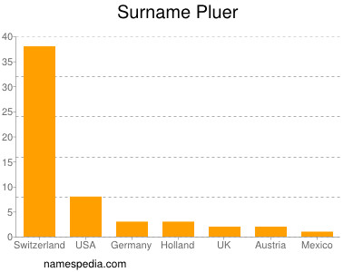Surname Pluer