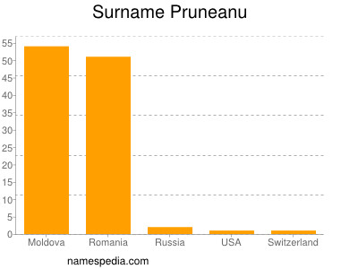 Surname Pruneanu