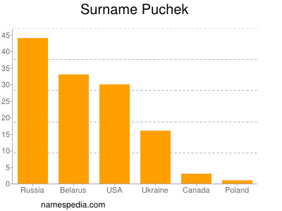 Surname Puchek