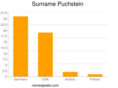 Surname Puchstein