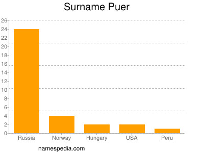 Surname Puer