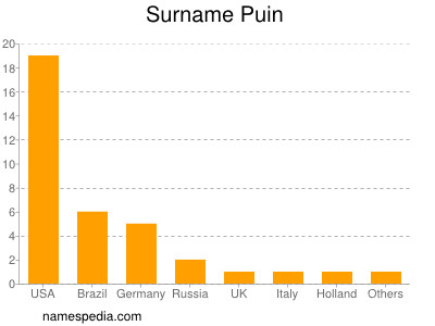 Surname Puin