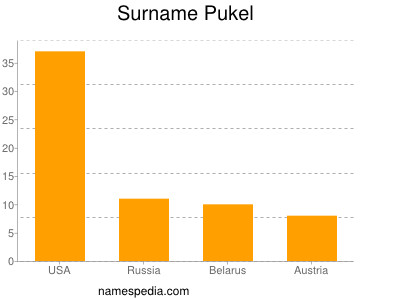 Surname Pukel