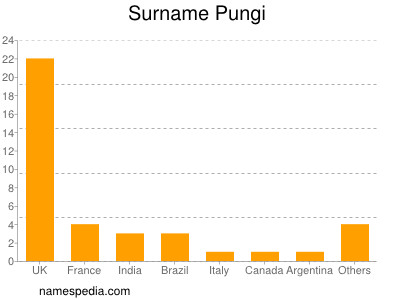 Surname Pungi