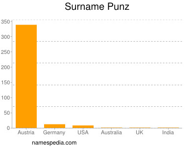 Surname Punz