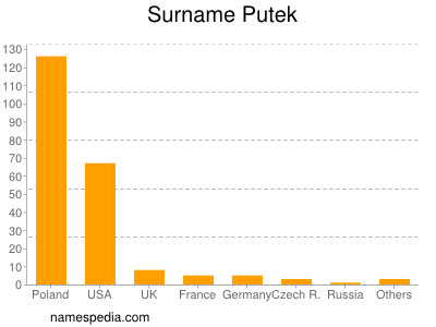 Surname Putek