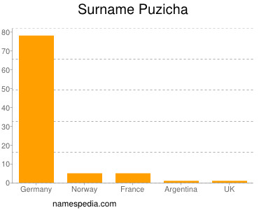 Surname Puzicha