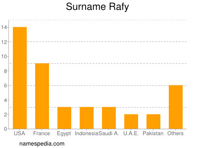 Surname Rafy