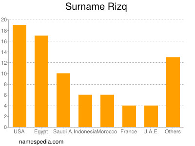 Surname Rizq