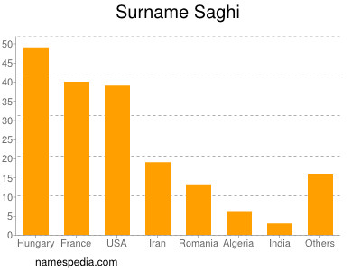 Surname Saghi