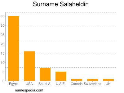 Surname Salaheldin