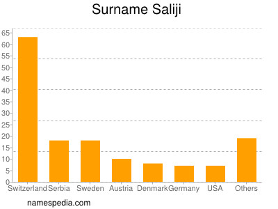 Surname Saliji