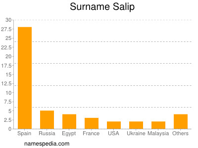 Surname Salip