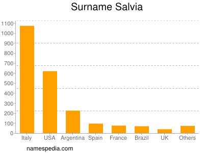Surname Salvia