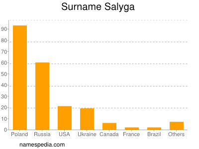 Surname Salyga
