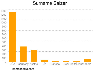 Surname Salzer