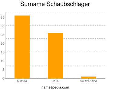 Surname Schaubschlager