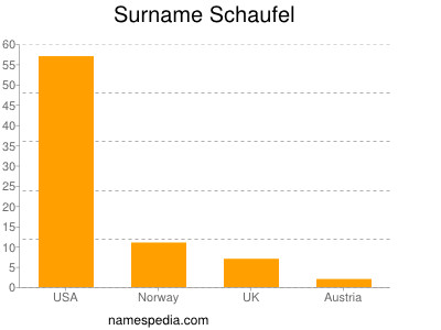 Surname Schaufel