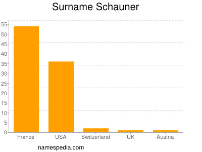 Surname Schauner
