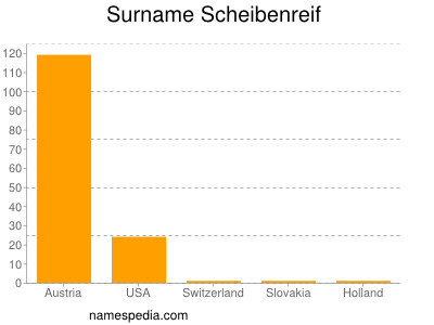 Surname Scheibenreif