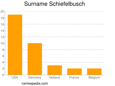 Surname Schiefelbusch