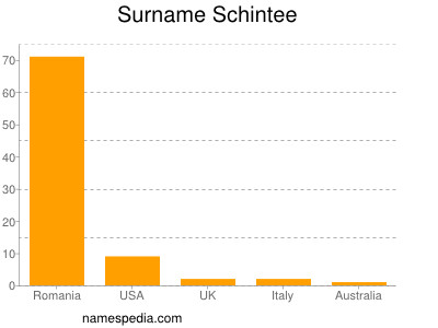 Surname Schintee