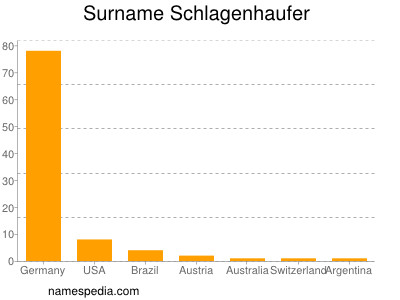 Surname Schlagenhaufer
