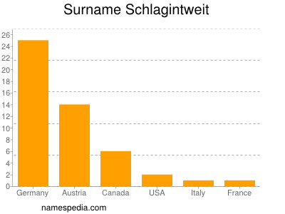 Surname Schlagintweit