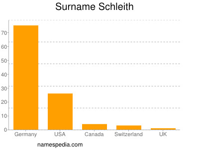 Surname Schleith