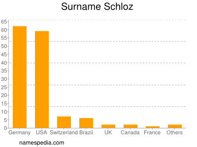 Surname Schloz