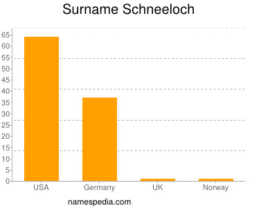 Surname Schneeloch