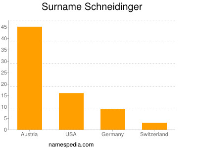 Surname Schneidinger