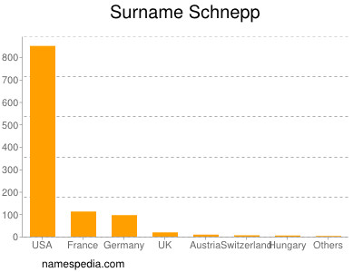Surname Schnepp