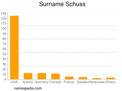 Surname Schuss