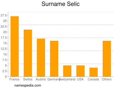 Surname Selic