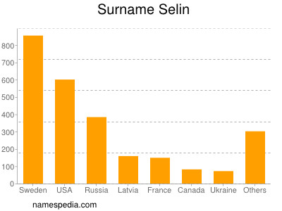 Surname Selin
