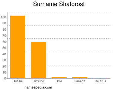 Surname Shaforost