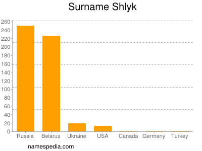 Surname Shlyk