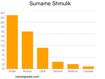 Surname Shmulik