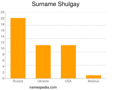 Surname Shulgay