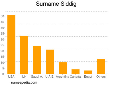 Surname Siddig