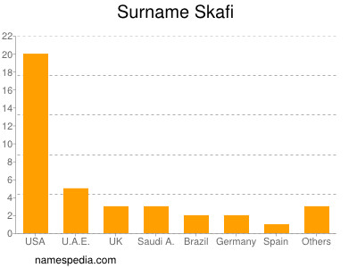 Surname Skafi