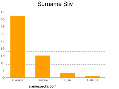 Surname Sliv