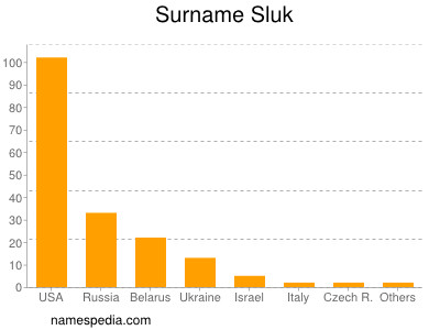 Surname Sluk