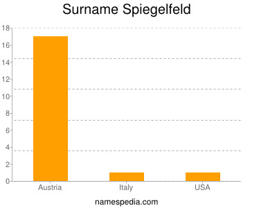 Surname Spiegelfeld