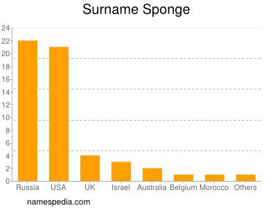 Surname Sponge